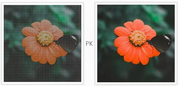 6_resize.jpg 6_resize.jpg