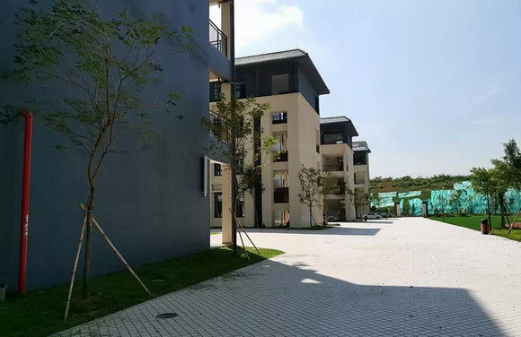 2_resize.jpg 2_resize.jpg