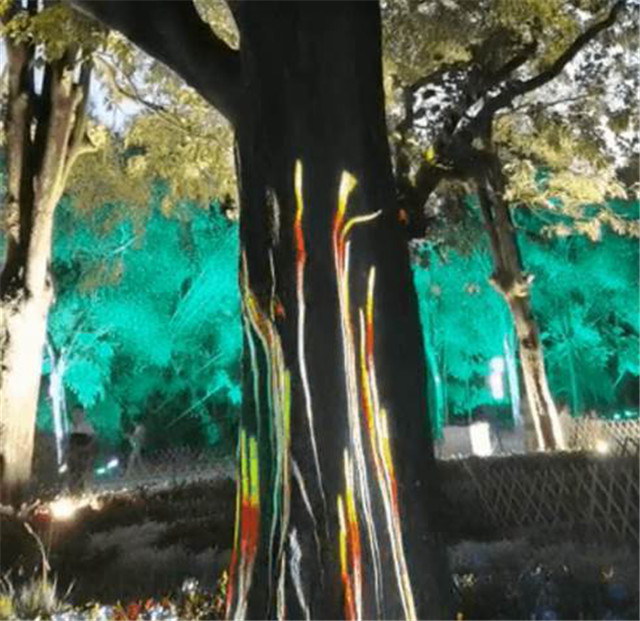 圖片9.jpg 圖片9.jpg